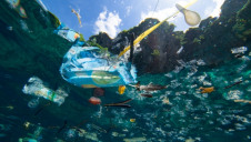 Scientists say it is likely no marine ecosystems are left that are not affected by pollution